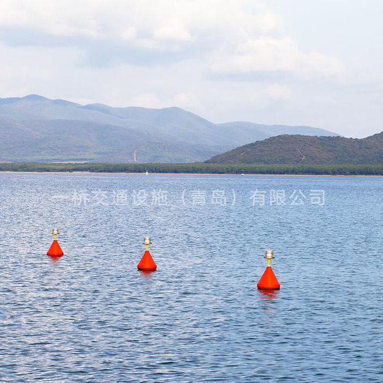 海洋浮标案例